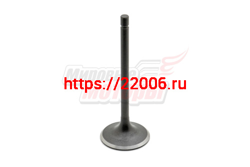 Клапан впускной 167FMM (250cc) LIFAN оригинал (большой)(длина 91 мм, D юбки 34 мм, d стержня 5,5 мм) Клапан впускной 167FMM (250cc) LIFAN оригинал (большой)(длина 91 мм, D юбки 34 мм, d стержня 5,5 мм)
