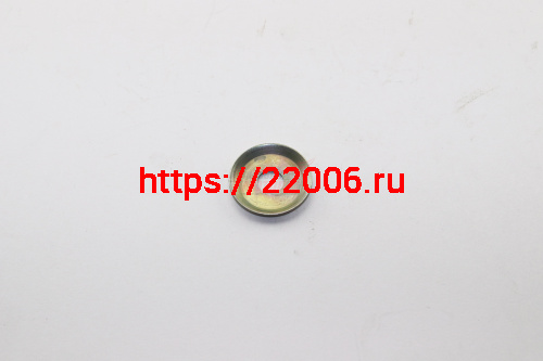 Шайба для насоса "Водолей" (тарельчатая) Шайба для насоса "Водолей" (тарельчатая)