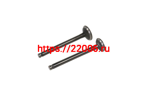 Клапаны (впуск/выпуск) 139QMB 50 - 80см3 (d18,5/16, l-69) Клапаны (впуск/выпуск) 139QMB 50 - 80см3 (d18,5/16, l-69)
