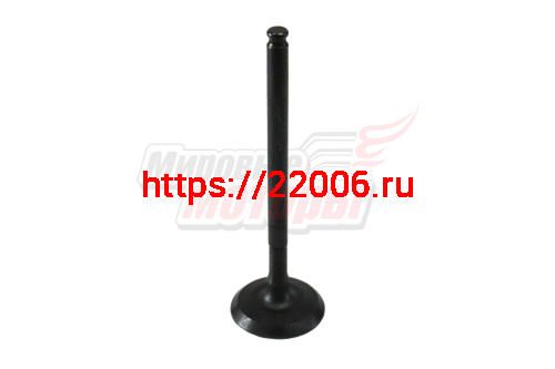 Клапан впускной QQ (3721007011) Клапан впускной QQ (3721007011)