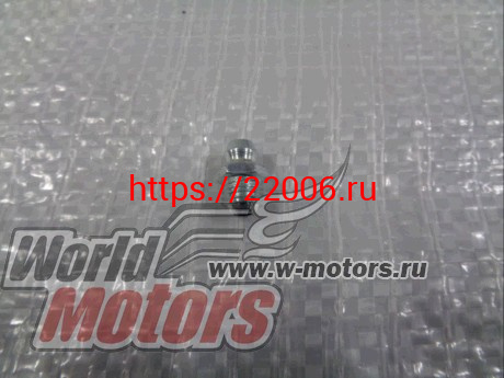 Штуцер для смазки редуктора ST556/C3060(WCM00000S53053) Штуцер для смазки редуктора ST556/C3060(WCM00000S53053)